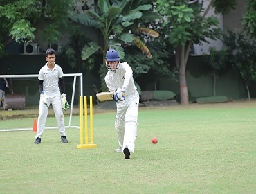 Cricket Practice Area